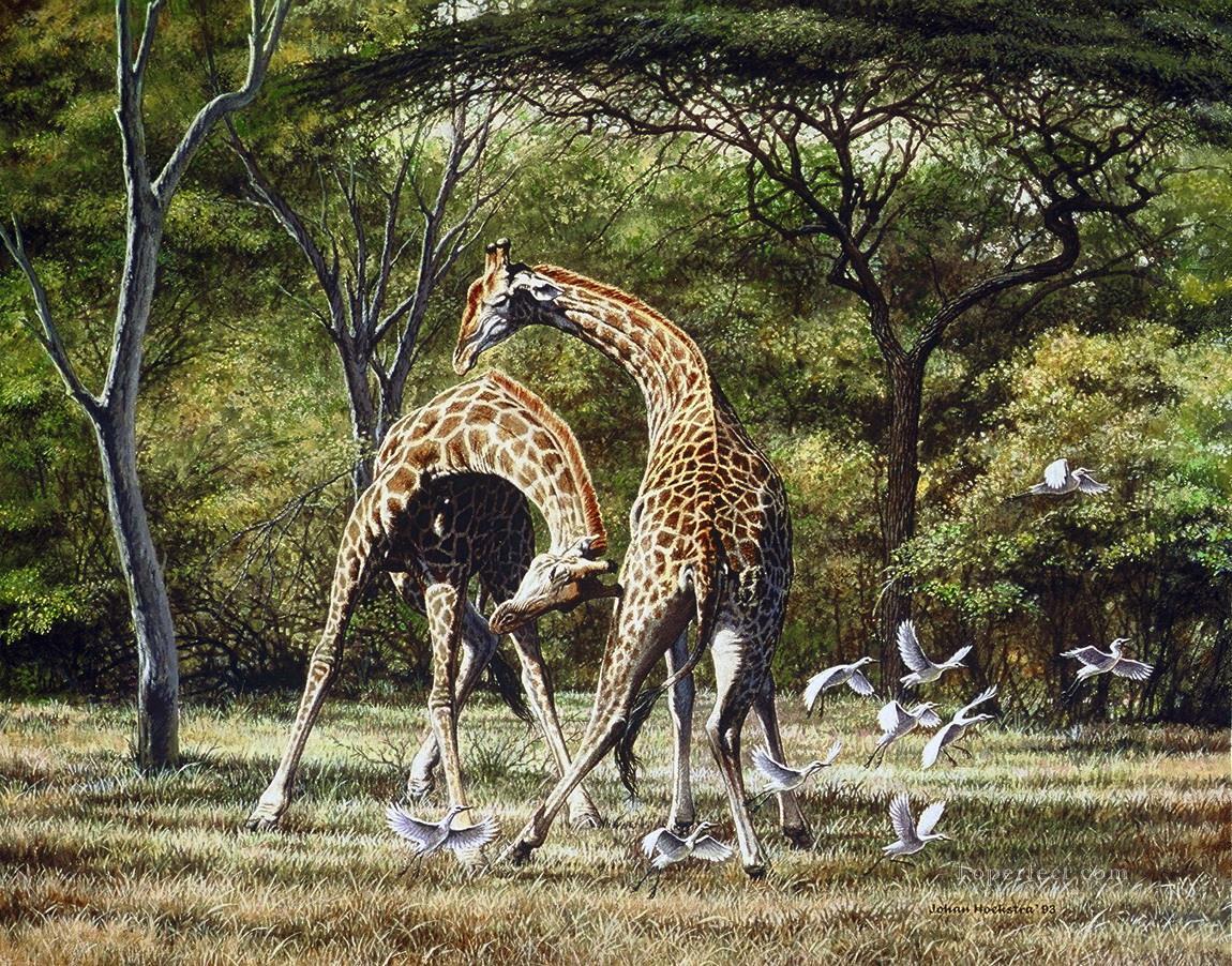 duel des girafes et des oiseaux Peintures à l'huile